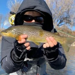 Glacier Glove Cold River Fingerless Softshell Gloves