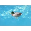 Swim Central 16" Mallard Duck Floating Swimming Pool Chlorine Dispenser -Swimline Shop GUEST 3d4d4ae7 e426 4dfd 931e b43617a7d97d