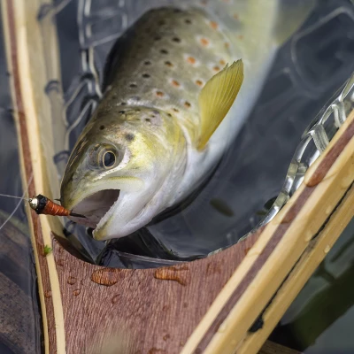 Leisure Sports Catch And Release Landing Fly Fishing Net - Natural Wood 5 Leisure Sports Catch And Release Landing Fly Fishing Net - Natural Wood - Image 3