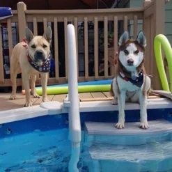 Confer CCXAG Grey 4-Step Above Ground Swimming Pool Grand Entry Steps + Mat Pad -Swimline Shop GUEST a41cef5a 6af0 4ab9 a356 a507907464b1