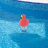 Swimline 12" Pink Flamingo Floating Pool Chlorine Dispenser -Swimline Shop GUEST f1fd2276 98b1 44f5 adb5 2598e24c350f